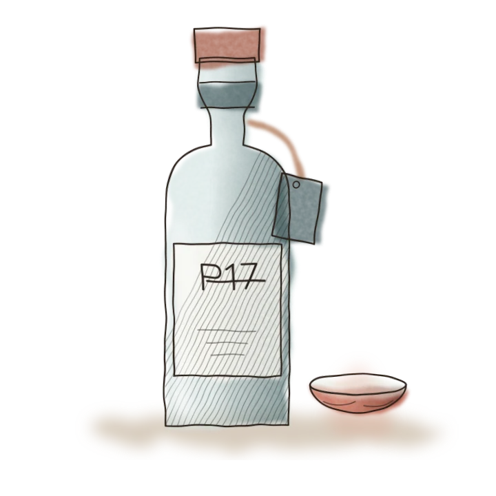 Ilustración en acuarela: botella de P17 junto a una jícara de mezcal.